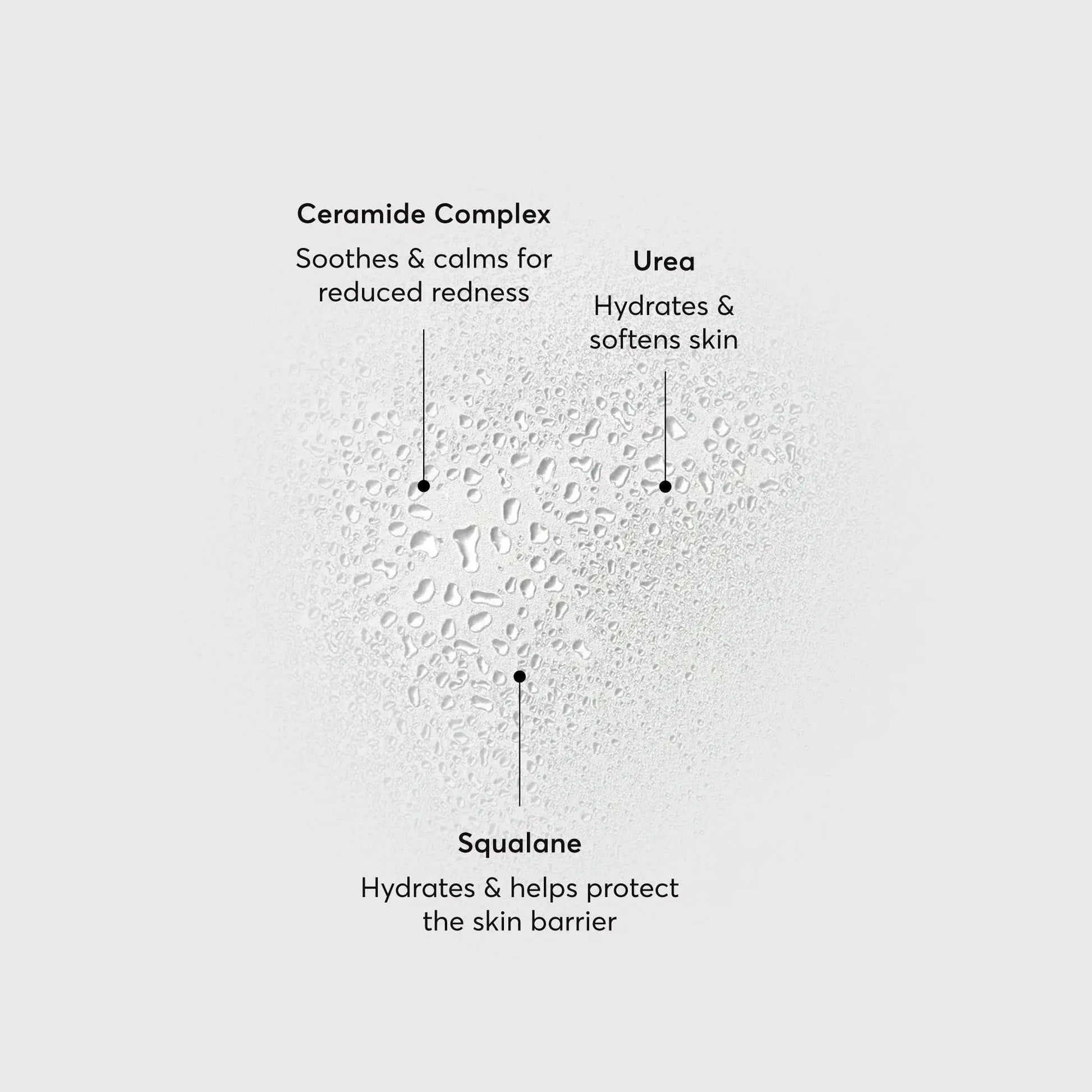 barrier-bounce-bi-phase-mist-g7 NATR-10167-Alt-Images-Barrier-Bounce-Bi-Phase-Toner-Mist_01.webp