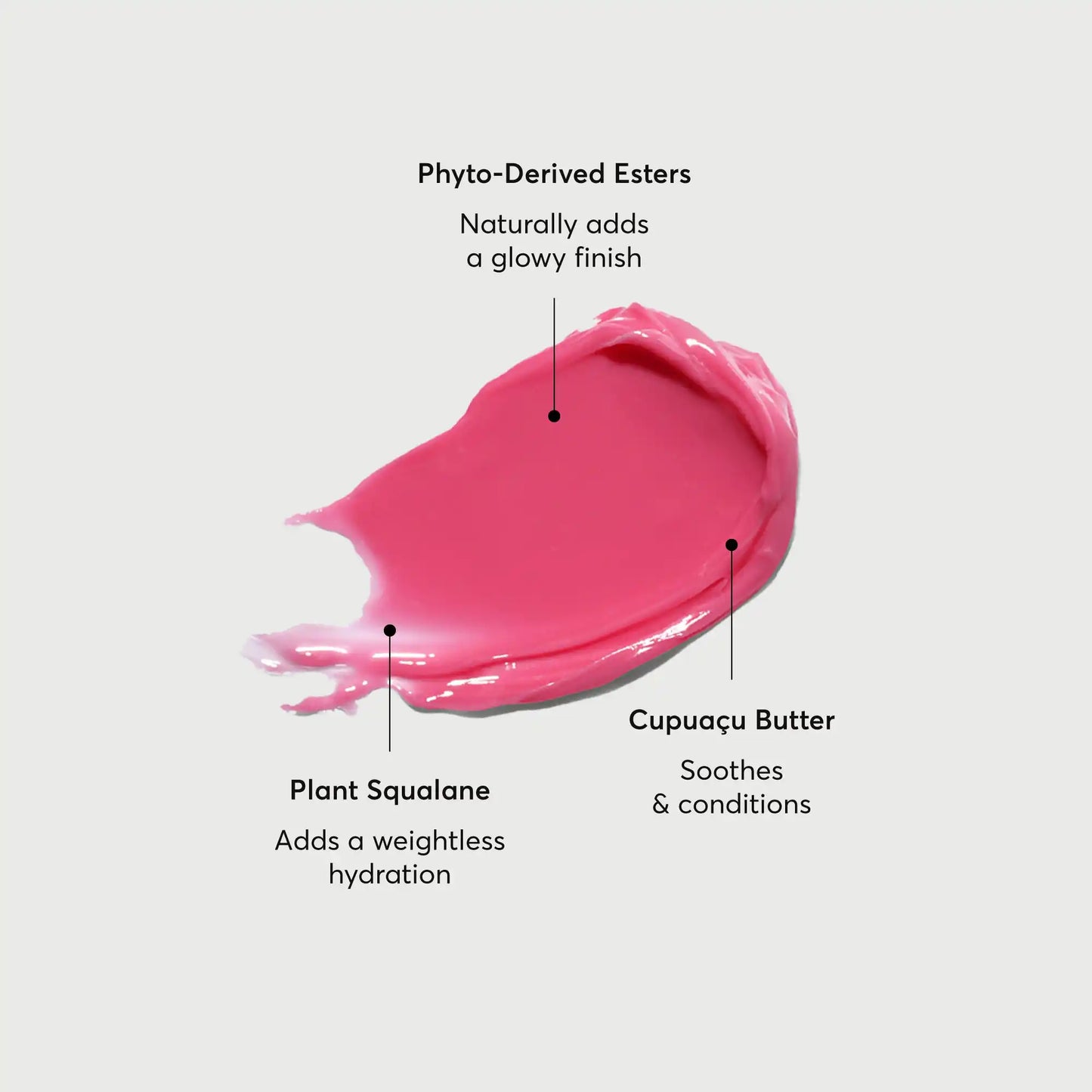 phyto-glow-lip-balm-camellia-c0 NATR-60075-Alt-Images-Phyto-Glow-Lip-Balm-Camellia-01.webp